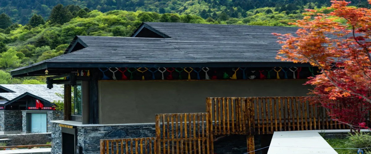 1768289992797717.jpg 1768289992797717.jpg