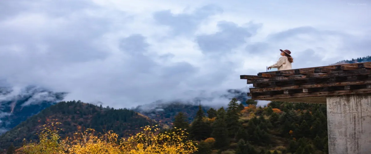 1768289998719192.jpg 1768289998719192.jpg